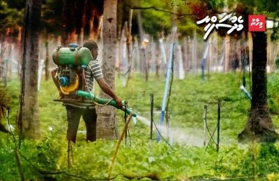 ދަނޑުތައް ވިހަވެފައި، އަހަރެމެން މިކަނީ ރައްކާތެރި އެއްޗެއްތަ؟