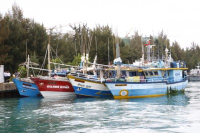 ބޭރުގެ އުޅަނދުތަކަށް މަސްވެރިކަމުގެ ހުއްދަ ނުދިނުމަށް ލާޒިމްކުރާ އާ ބިލެއް