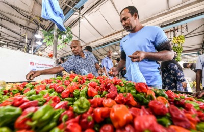 މާރުކޭޓުން ފެންނަނީ މުޅިން ވެސް ބޭރުގެ އުފެއްދުންތައް