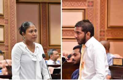 ގާނޫނު އެކުލަވާލުމުގެ މަރުހަލާއަށް އުއްތަމަ ފަނޑިޔާރަކަށް ލަފައެއް ހުށަނޭޅޭނެ: މެމްބަރުން