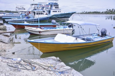 މި މަސްވެރިން ތަފާތޭ! ކުދިކުދި ކަންނެލި އޮޑިތަކެއްގައި!