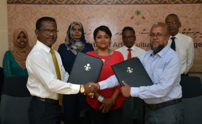 ކަޅުވަކަރު މިސްކިތް ބަހައްޓަން 2.9 މިލިއަން ރުފިޔާއަށް ބަޔަކާ ހަވާލުކޮށްފި