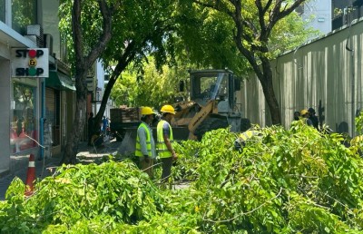 އަމީނީ މަގުގެ ގަސްތައް ކަނޑާތީ އަނެއްކާވެސް މޭޔަރުގެ ކަންބޮޑުވުން!