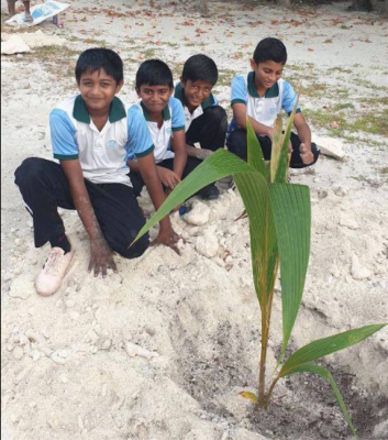 މަހިބަދޫގައި 1000 ރުށް ގަސް އިންދުމުގެ ޕްރޮގްރާމެއް ފައްޓައިފި