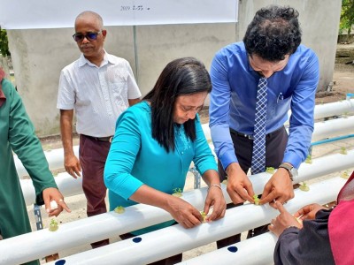 ހައިޑްރޯޕޯނިކްސް ސިސްޓަމްތައް ހެޔޮގޮތުގައި ބޭނުން ހިފުމަށް މިނިސްޓަރު އިލްތިމާސްކުރައްވައިފި