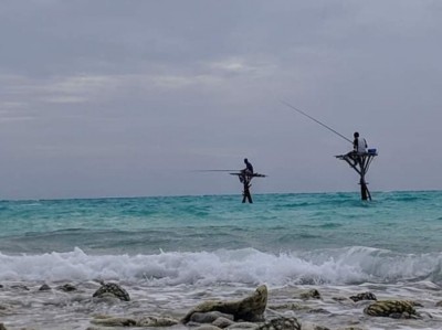 ކަނި މަސްވެރިކަން: ކެލަޔަށް ހާއްސަ، ވަރަށް ތަފާތު!