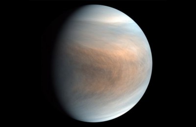 ވީނަސްގައި ދިރުން! ވިލާތަކުގެ ތެރެއިން ނިޝާނެއް!