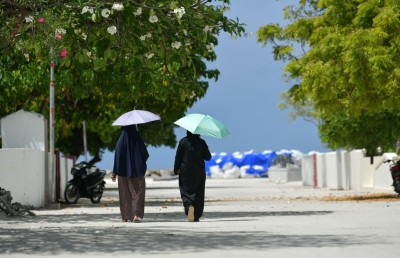ރަށަށް ތިޔަ ދަނީ ބަލި ވެސް ހިފައިގެން