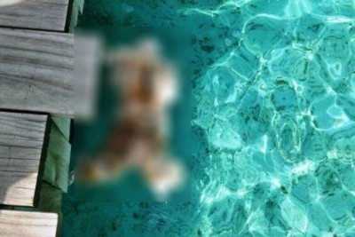 ސޮނޭވާއިން ފެނުނު ހަށިގަނޑު އަދިވެސް އައިޑެންޓިފައި ނުކުރެވޭ: ފުލުހުން