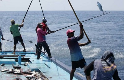 ކަނޑުގެ އިން ވަކިކުރި ގޮތުން މަސްވެރިކަމަށް އަސަރެއް ނުކުރާނެ: ޑރ. ހުސައިން