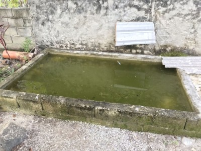 މަސްފެންގަނޑަށް ވެއްޓުނު ކުޑަކުއްޖާގެ ހާލަތަށް ބަދަލަށް ނާދޭ: އައިޖީއެމްއެޗު