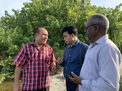 އައްޑޫގައި ޑިނގާ އާލާކުރެވިދާނެކަމަށް ދިރާސާއިން ހާމަވެއްޖެ