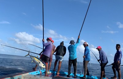 މީހެއްގެ ލޮލަށް ބުޅިއެއް ހެރި، އަވަސް ފަރުވާއަށް މާލެއަށް