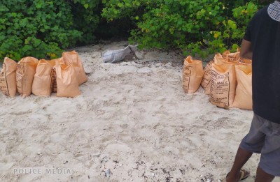 ގއ. ވިލިނގިލީ ގޮނޑުދޮށުން 100 އެއްހާ ބަސްތާ ވެލި ނެގި މައްސަލައެއް ބަލަނީ