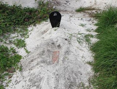 އާސަހަރާގައި ސިހުރެއް ވަޅުލާފައި އޮތް މައްސަލައެއް ބަލަނީ