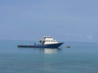 މަލިކު ބޭރުން ދިވެހި މަސްދޯންޏެއް ހިފަހައްޓައިފި