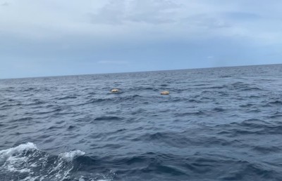 އަތުލައިގަތީ މަސްތުވާތަކެތި ޓްރެފިކްކުރާ އިންޓަނޭޝަނަލް ގޭންގެއްގެ ބައެއް