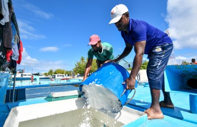 އަދަދުތަކުން އަމީރު ވިދާޅުވީ މަސްވެރިކަމަށް އިންގިލާބީ ބަދަލެއް ގެނެސްދީފި ކަމަށް