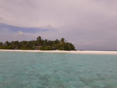 ފުށިދިއްގާ ފުލުހުންގެ ބެލުމުގެ ދަށަށް