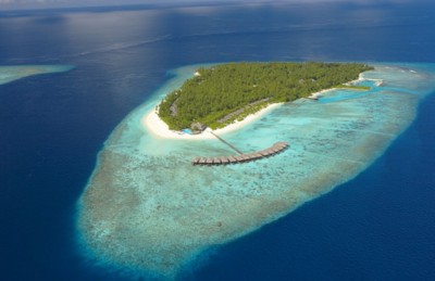 ކަނޑަށް ފައްތާފައި ހުރި ގިނަ އަދަދެއްގެ މަސްތުވާތަކެތި ހޯދައިފި