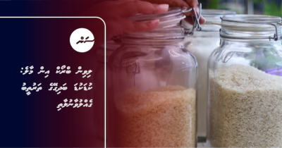 ލިވިން ބްރޯކް އިން މާލެ: ކުޑަކުޑަ ބަދިގޭގެ ތަރުތީބު ގެއްލުވާނުލާތި