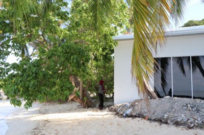ރަސްދޫ ގެތަކަށް ލޮނުގަނޑު ވަނުމުގެ ބިރު ނިމުމަކަށް!
