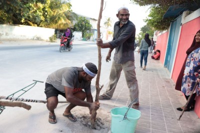 ކުޅުދުއްފުށީ ބޮޑު މަގުގައި ހިޔާ ލިބޭ ފަދަ ގަސްތަކެއް އިންދައިފި