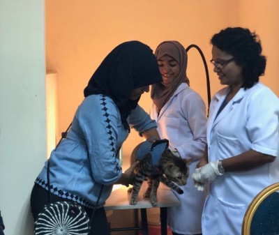 ވިލިމާލޭގައި ޖަނަވާރުންގެ ޑޮކްޓަރުންގެ ހިދުމަތް އާދިއްތަ ދުވަހު ފަށަނީ