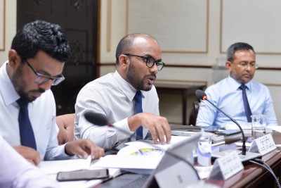 "ފަންނީ ތަޖުރިބާކާރުންގެ ލަފާ އެންމެ ބޭނުންވި ވަގުތު އެކަހެރިކުރުމުން މުއައްސަސާތައްވަނީ ބަލިކަށިވެފައި"