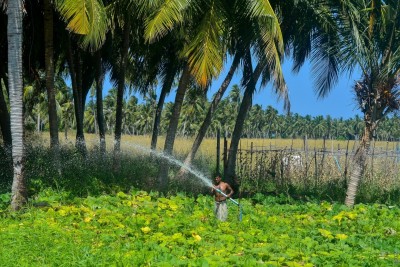 ދަނޑުވެރިކަމުގެ ސިނާއަތު ކުރިއަރުވަން ކުންފުންޏެއް ހަދަނީ