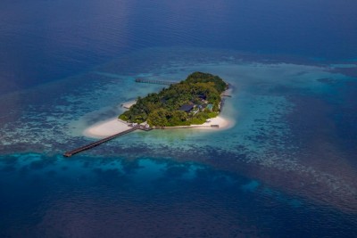 ކޮކޯ ޕްރިވޭ ކުޑަހިތި ވިއްކާލަނީ