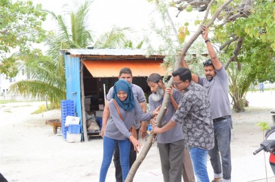 ކުޅުދުއްފުށި ފެހި ކުރަން އިތުރު 100 ގަސް އިންދައިފި