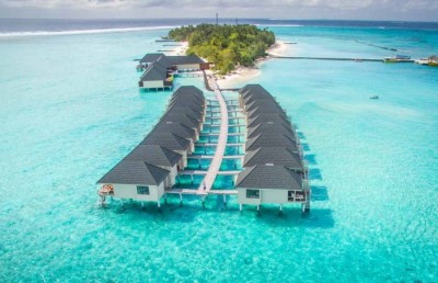 ދިރާގުން ހޮސްޕިޓަލިޓީ ދާއިރާއަށް ހާއްސަ ޕްލެޓްފޯމެއް