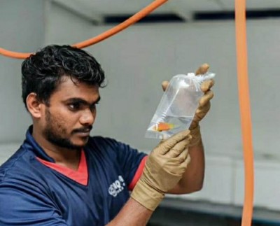 އެކުއާޕެރަޑައިސް: ވިޔަފާރި ފުޅާކޮށް ޗައިނާ މާކެޓަށް މަސްވިއްކުމަށް