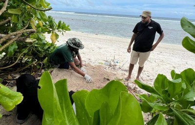 "ޓާޓަލް ބޯއި" ގާދޫގެ ވެލާތަކުގެ ހިމާޔަތުގައި