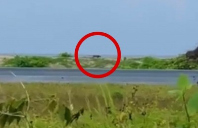 މާފަރުން ގެއްލުންދޭ ޖަނަވާރެއް ނުފެނޭ، ލަފާކުރެވެނީ ބުޅަލެއް ކަމަށް: އެމްއެންޑީއެފް