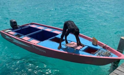 ތިން ކުދިންނާއެކު މާކަނޑަށް ގެއްލި މުހައްމަދަށް ކުރެވުނު ތަޖުރިބާ!