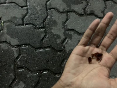 ފުލުހުންނަށް ފެނުމުން ރާ ފުޅިތައް މަގުމައްޗަށް އުކާލައިފި
