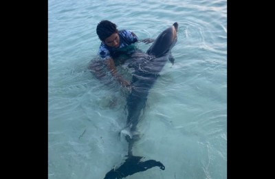 ހާލުގައި ޖެހިފައި އޮތް ކޯމަހަކަށް އެހީވެއްޖެ
