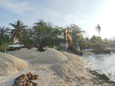 ފައިނު އަތިރިމަތިން ވެއްޓުނު ގަސްތައް ސަލާމަތްކުރުމުގެ މަސައްކަތް ފަށައިފި