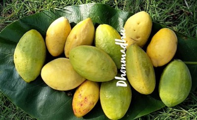 ތި ރަށު މީހުން މިއަށް ކިޔަނީ ކޮން ނަމެއް؟
