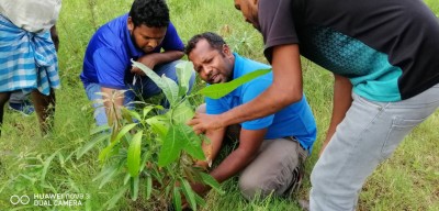 ދަނޑުވެރިންގެ އުފެއްދުންތައް މާކެޓުކުރުމަށް ކުންފުންޏެއް ހަދަނީ