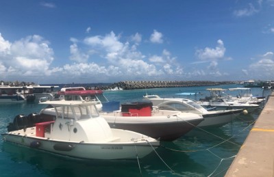 މަރުވެފައި އޮތް މީހަކު މާލޭ ފަޅުތެރެއިން ފެނިއްޖެ