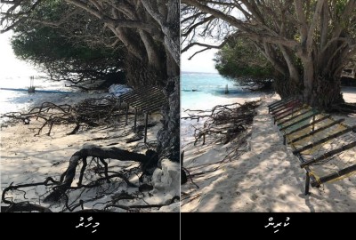 ކުޑަރިކިލު ރައްޔިތުން ނުކުމެ ގޮނޑުދޮށުގައި 150 ބަސްތާ ޖަހައިފި