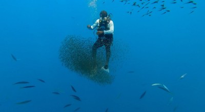 ޑީކޯ ވަނީ ހުވަދޫގައި، އެކަމަކު ޗެމްބަރު އައްޑޫއަށް!