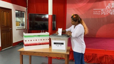 ޖޭޕީ ޕްރައިމަރީ: ތިން ދާއިރާއެއްގެ ވޯޓުލުން ކުރިއަށް ދަނީ