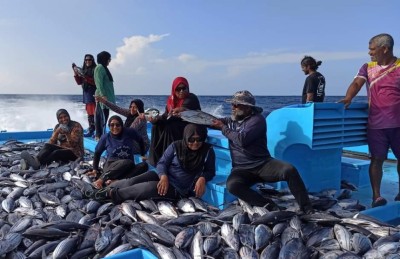 މަސްވެރިންގެ ދުވަސް: ނައިފަރުގެ 80 އަންހެނަކު މަހަށް!