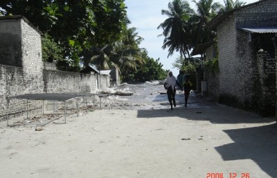 ދަރިފުޅާ އެކު މަންމަ ހިމާޔަތަށް ދުވަނީ: މި ކިޔައިދެނީ އެ ބިރުވެރި ވަގުތުކޮޅު