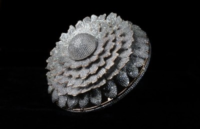 އެންމެ ގިނަ ޖަވާހިރު ޖެހި އަނގޮޓި އިންޑިއާގައި