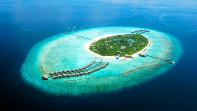 ދިވެއްސަކަށް ޝައްކުވެގެން މަނަފަރު ރިސޯޓު މޮނިޓަރިންއަށް